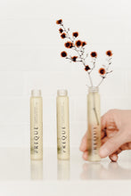 Load image into Gallery viewer, Kitchen + Counter Refill Pack