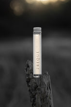 Load image into Gallery viewer, Kitchen Cleaner